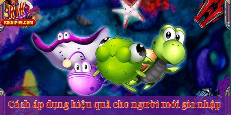 Cách áp dụng hiệu quả cho người mới gia nhập