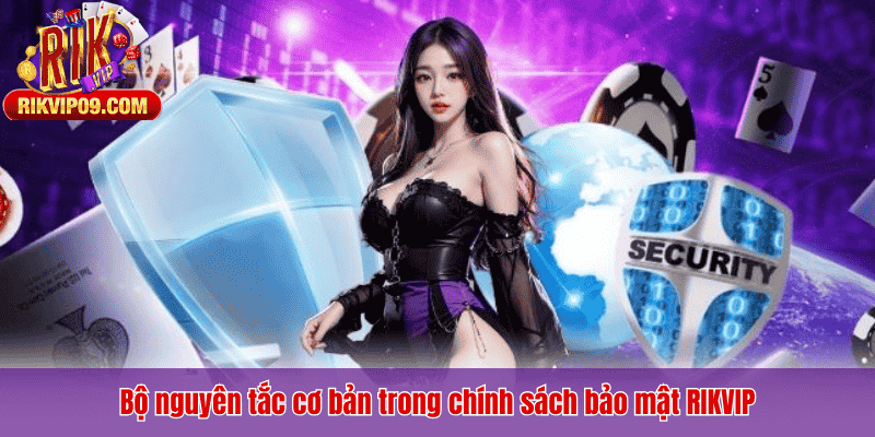 Bộ nguyên tắc cơ bản trong chính sách bảo mật RIKVIP