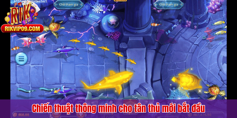 Chiến thuật thông minh cho tân thủ mới bắt đầu