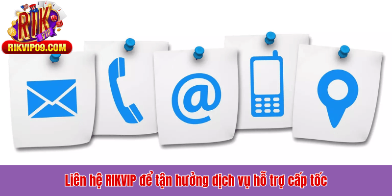 Liên hệ RIKVIP để tận hưởng dịch vụ hỗ trợ cấp tốc