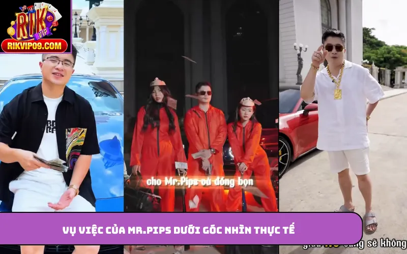 Vụ việc của Mr.pips dưới góc nhìn thực tế