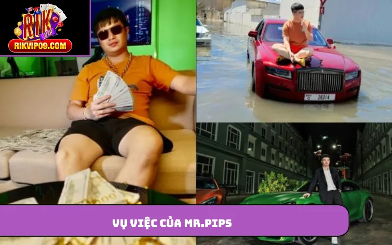 Vụ việc của Mr.pips